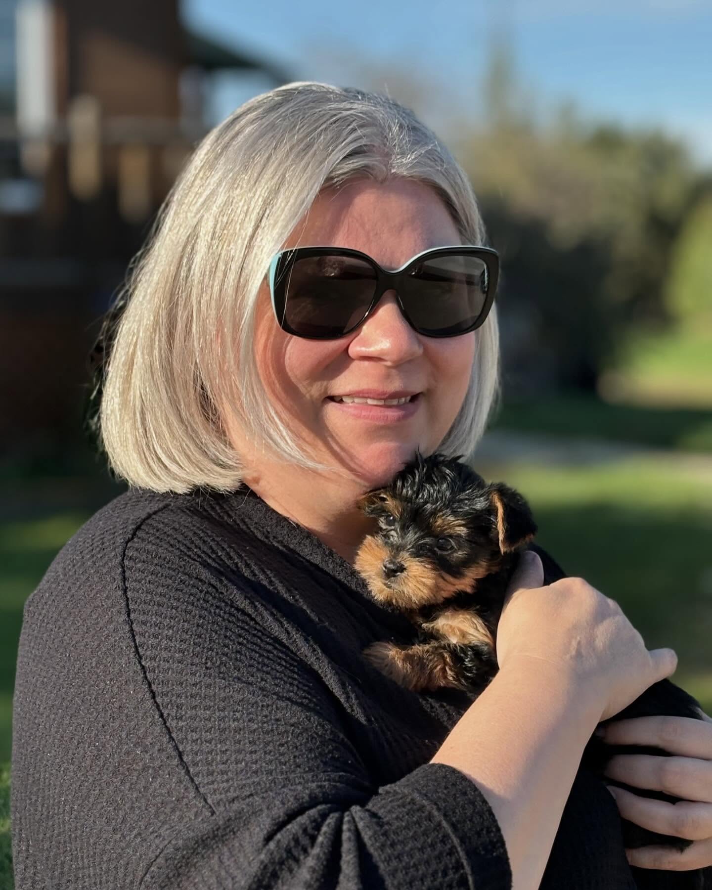 teacup yorkie puppies for sale near me
